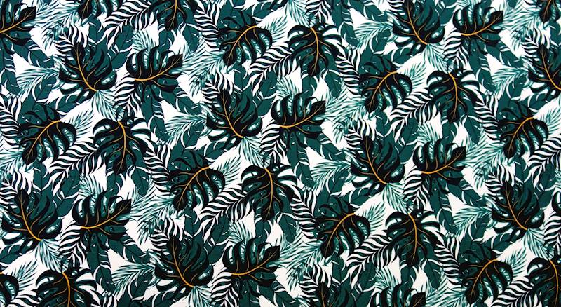 MARKIZOWY liście monstery jasne tło