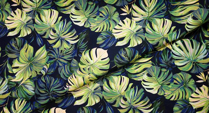 MARKIZOWY liście monstery