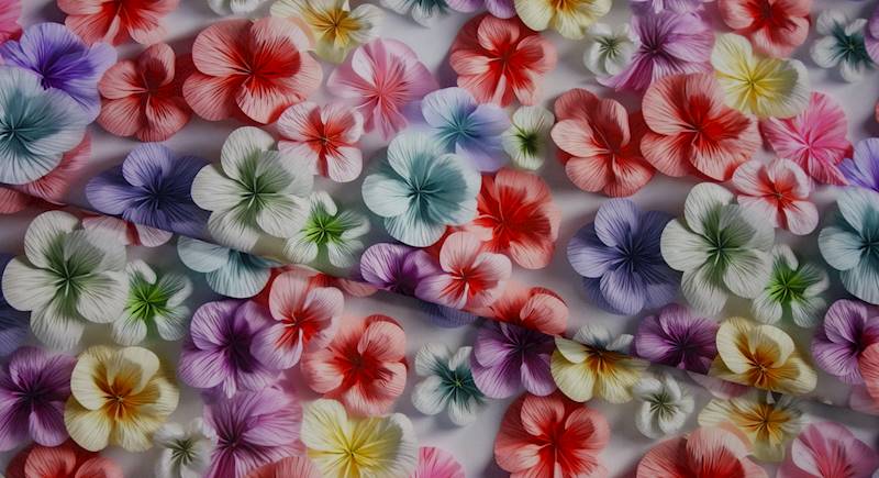 MARKIZOWY kolorowe bratki