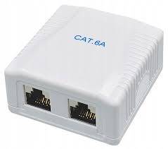 Gniazdo natynkowe cat6A ekranowane  STP 2x RJ45