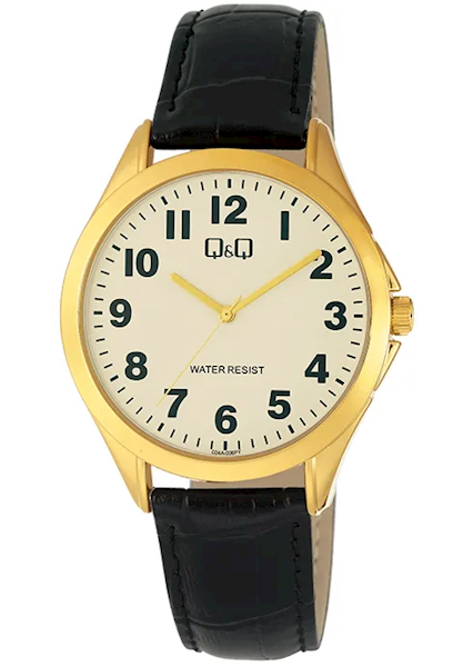 ZEGAREK Q&Q C04A-006PY