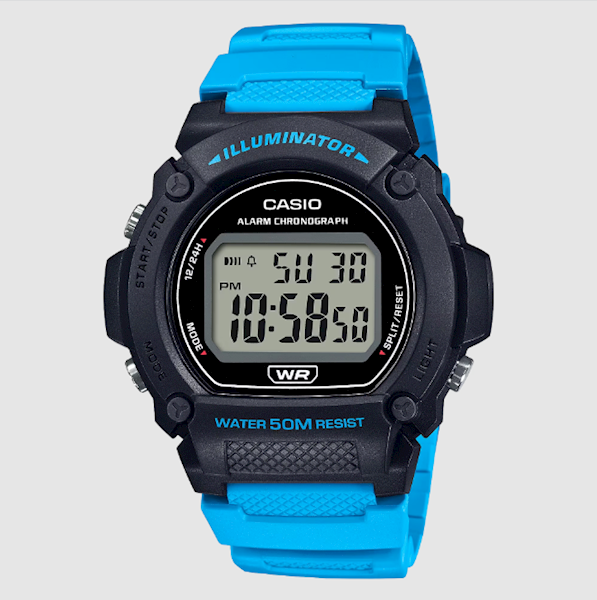 ZEGAREK CASIO W-219H-2A2VEF