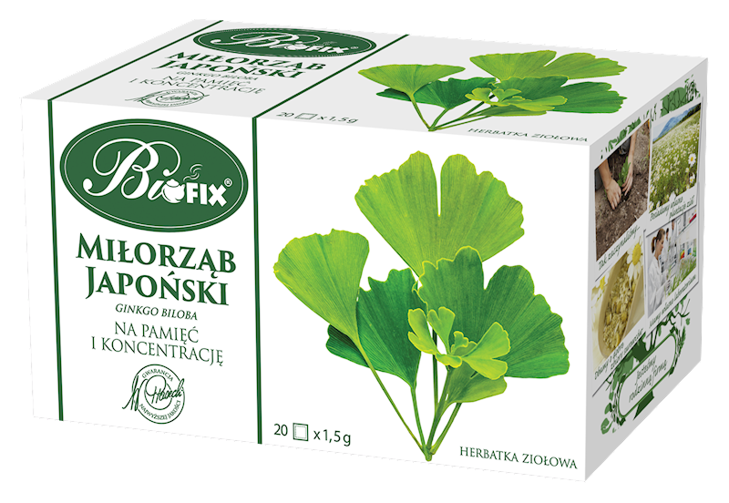 BIFIX EX.ZIOŁ.MIŁORZĄB JAP GINKO BILOBA 20/1,5g*10
