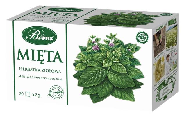 BIFIX EX.ZIOŁ.MIĘTA 20/2g*10