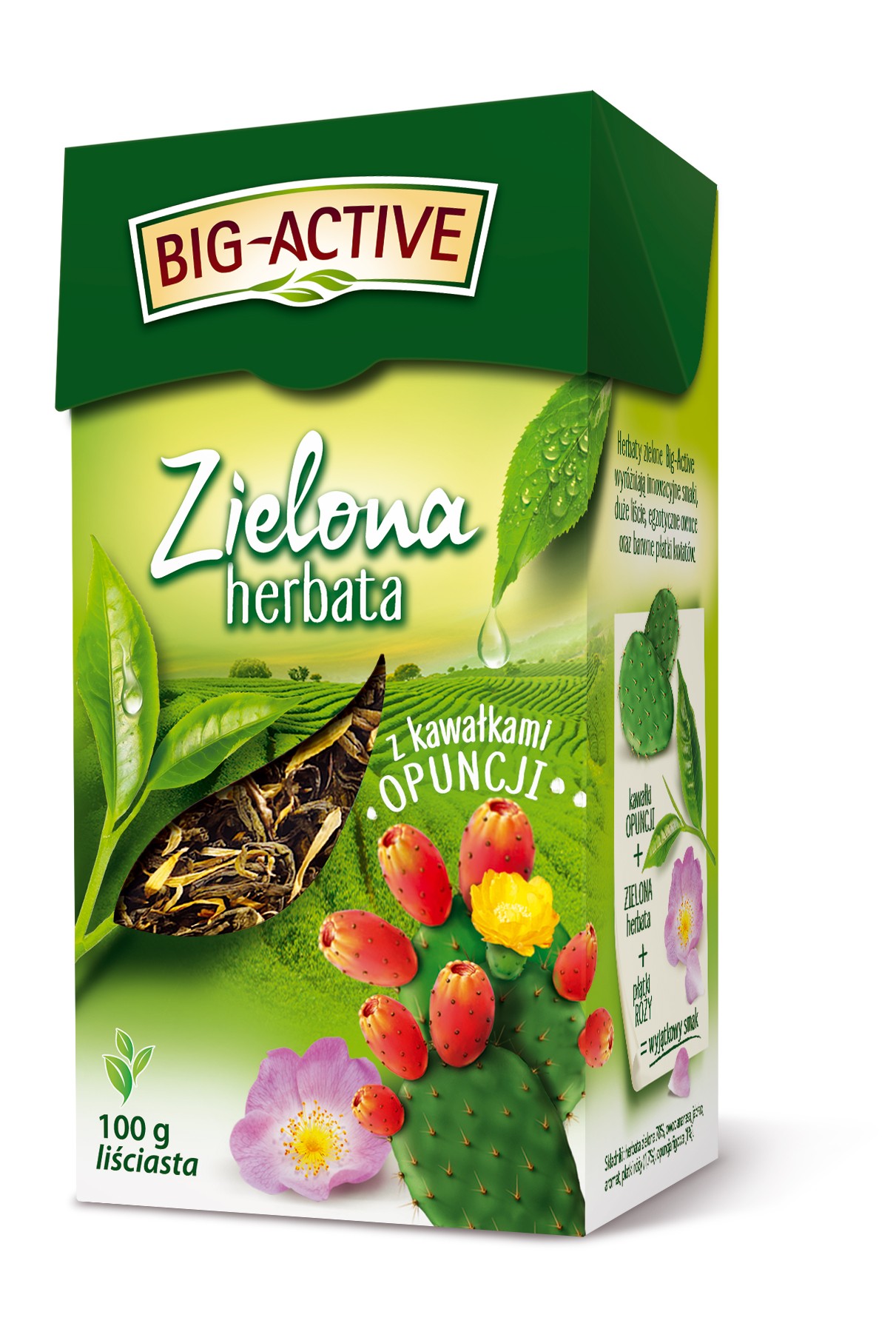BIG-A LIŚĆ ZIELONA Z OPUNCJĄ 100g*12