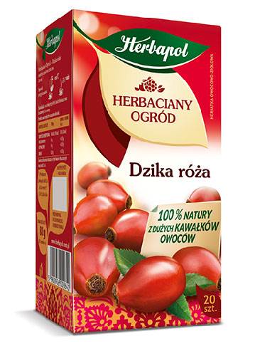 HERBAPOL EX HO DZ.RÓŻA 20/4g*12