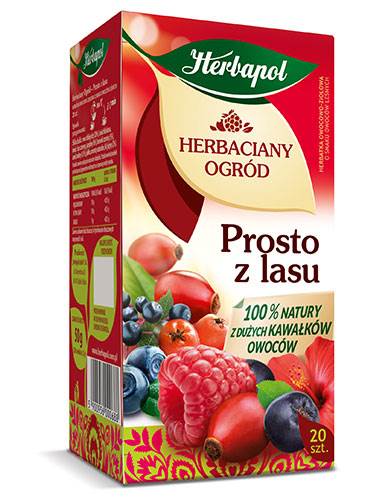 HERBAPOL EX HO PROSTO Z LASU 20/2,5g*12