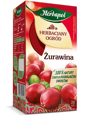 HERBAPOL EX HO ŻURAWINA 20/2,5g*12