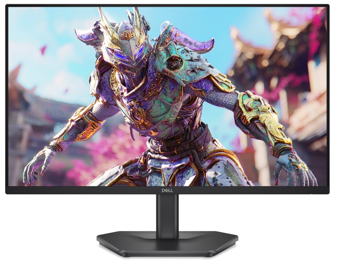 MONITOR DELL SE2426HG IPS WUXGA 240Hz