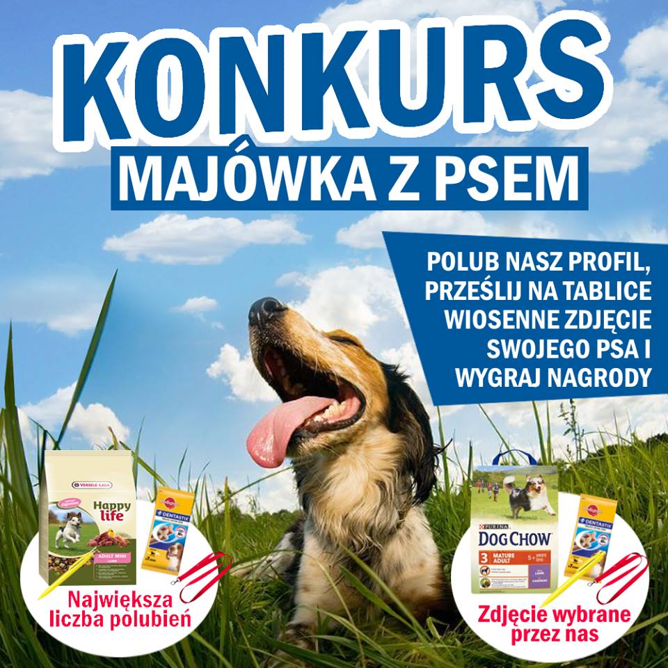 Konkurs- Majówka z Psem