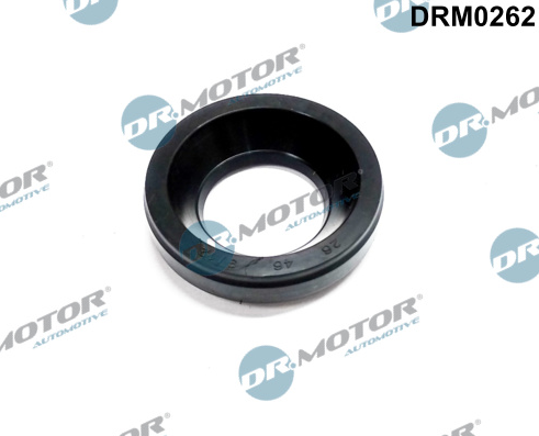 USZCZELNIACZ WTRYSKIWACZA PALIWA DR. MOTOR UW308-DRM
