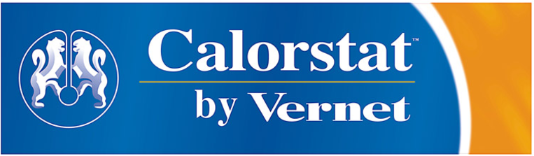 TERMOSTAT Z OBUDOWĄ VERNET CT304-VER