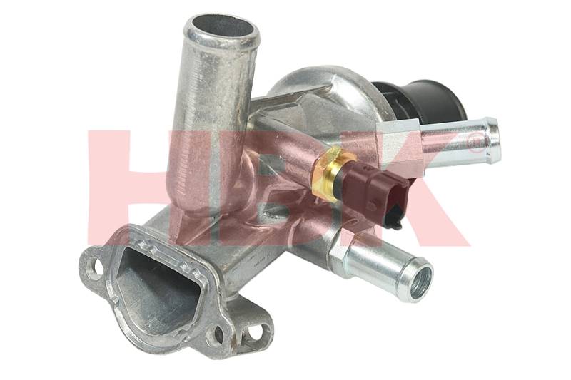 TERMOSTAT Z OBUDOWĄ HBK CTJ01-HBK
