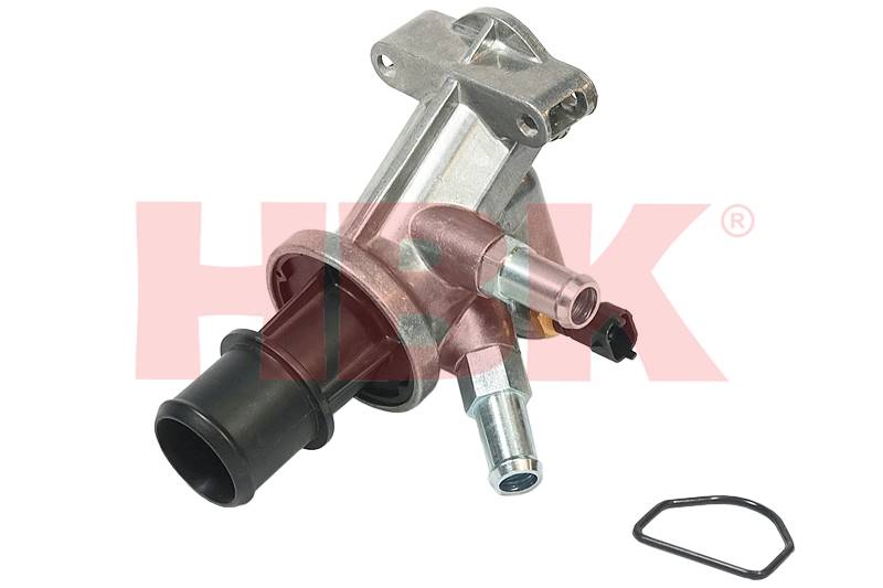 TERMOSTAT Z OBUDOWĄ HBK CTJ01-HBK