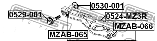 ŚRUBA WAHACZA FEBEST ZXS300-FEB