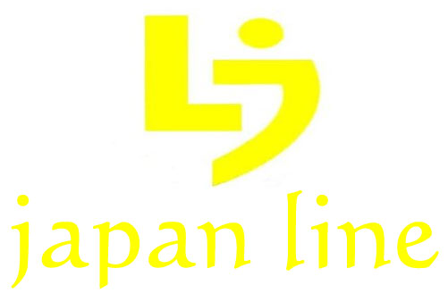 TARCZA HAMULCOWA TYŁ JAPAN LINE HTT302-JL