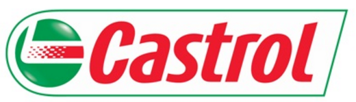 OLEJ CASTROL MAGNATEC 10W40 1L