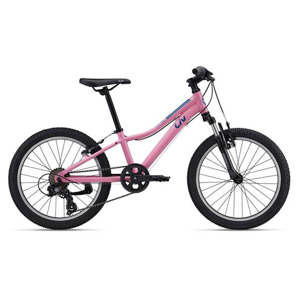 Rower Liv Enchant 20" Azalea Pink