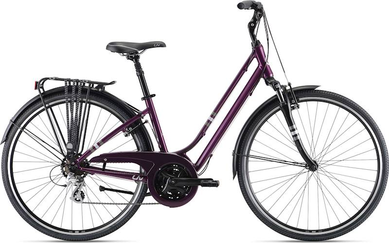 Rower Liv Flourish FS 2 M Chameleon Plum