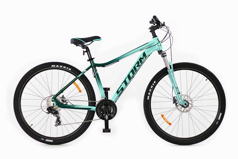 Rower Storm Shark Lady 29 4.0 18" turk-zielbut