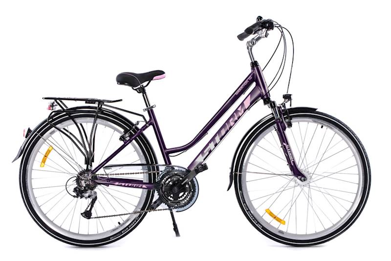 Rower Storm Marathon 4.0 Lady 19" śliwka