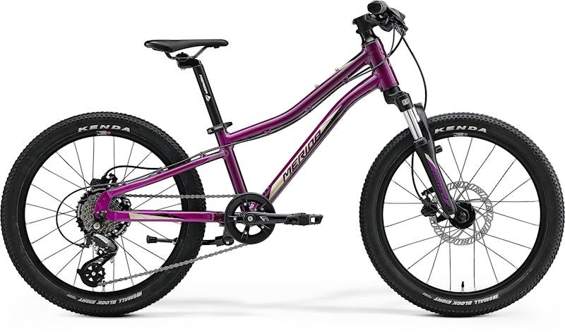 Rower Merida Matts J.20 (10") Purple black\champag