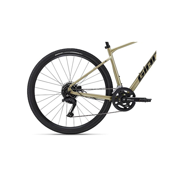 Rower Giant Roam 2 Disc L Bay Leaf