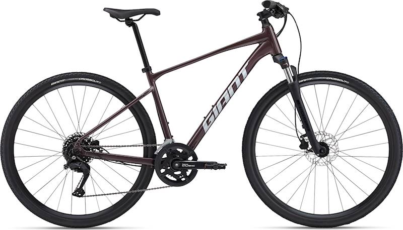 Rower Giant Roam 2 Disc M Charcoal Plum