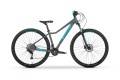 Rower Tabou Wizz 29 5.0 (20s Deore) steel/blue