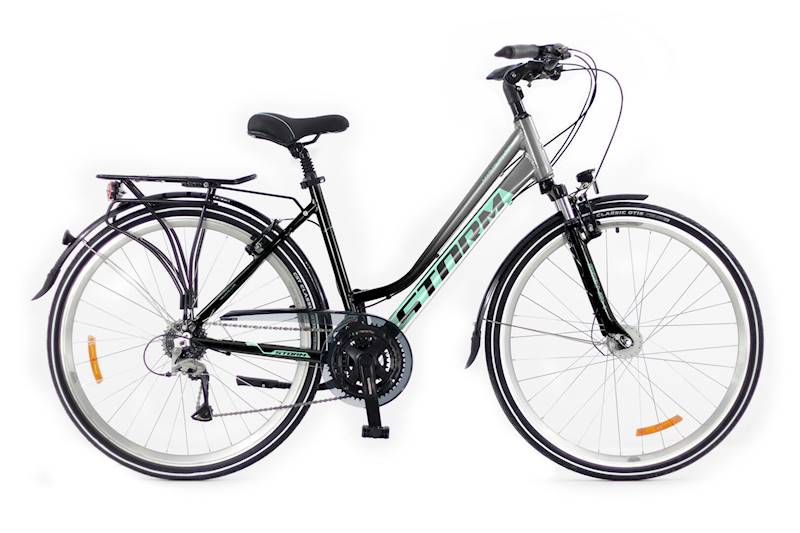 Rower Storm Marathon 6.0 Lady 17" sreb/czar/morsk 