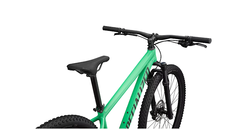 Rower Specialized Rockhopper Expert KH 29" L green