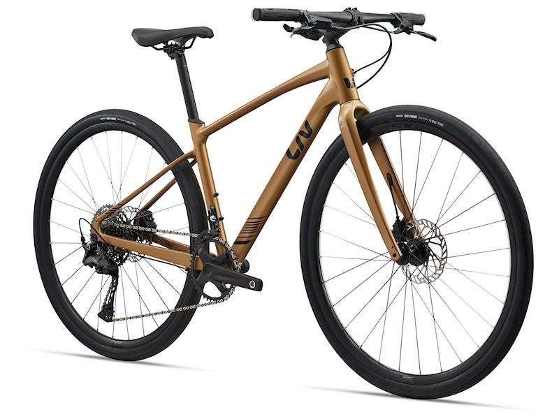 Rower Liv Thrive 1 M Steampunk