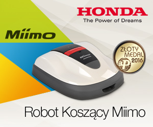 miimo_300x250.jpg