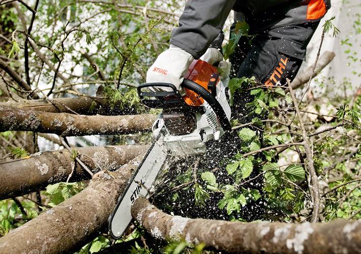 Pilarka Stihl Ms 261 40cm 3/25 RS