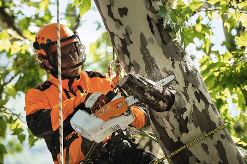 Pilarka akumulatorowa Stihl MSA 161 T