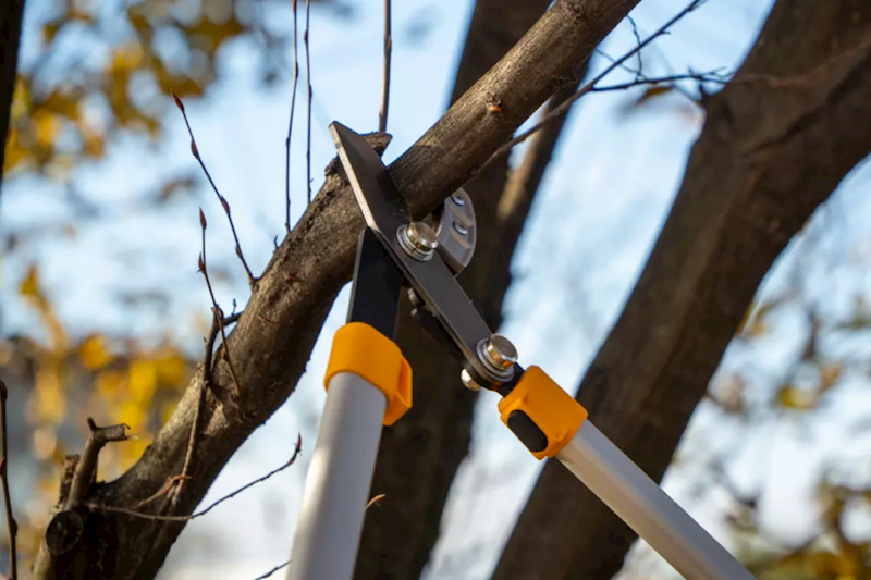 Sekator dwuręczny kowadełkowy Stiga