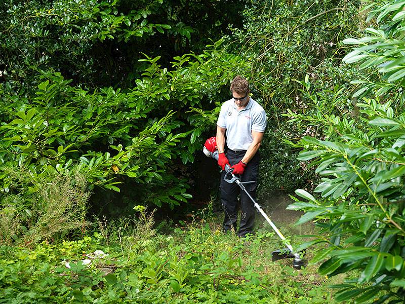GŁOWICA ŻYŁKOWA HONDA SSBC E
