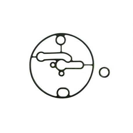 Uszczelka pływaka B&S 698781 / GR 