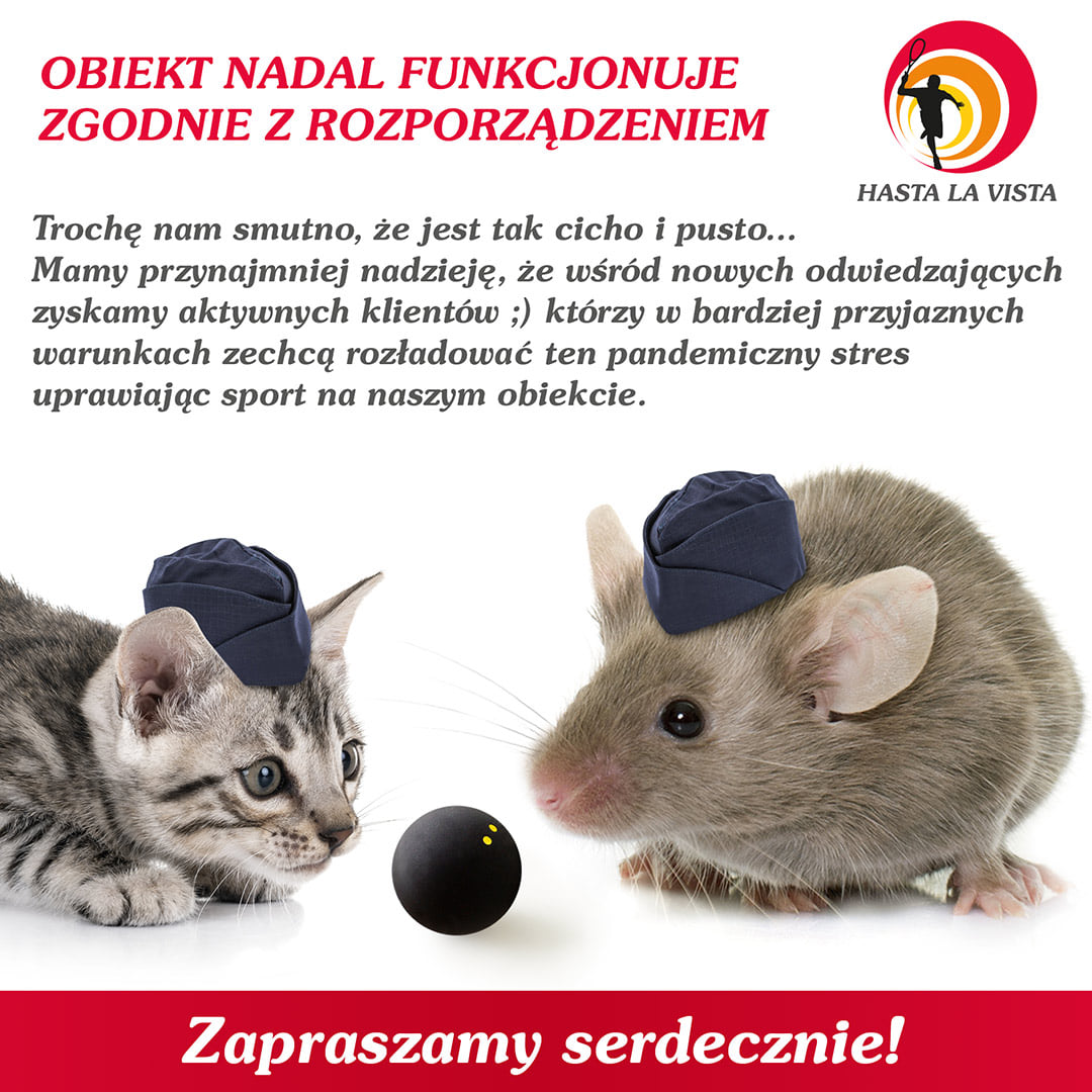 kotek&myszka.jpg