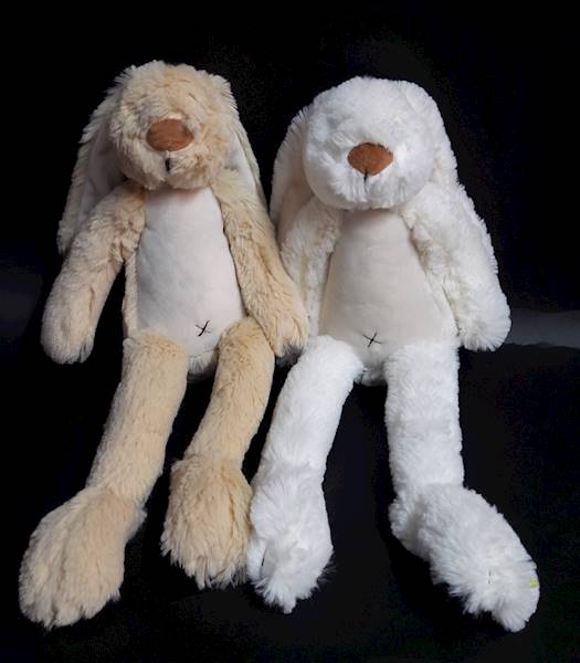 Królik szary - 891696