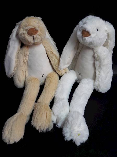 Królik szary - 891696