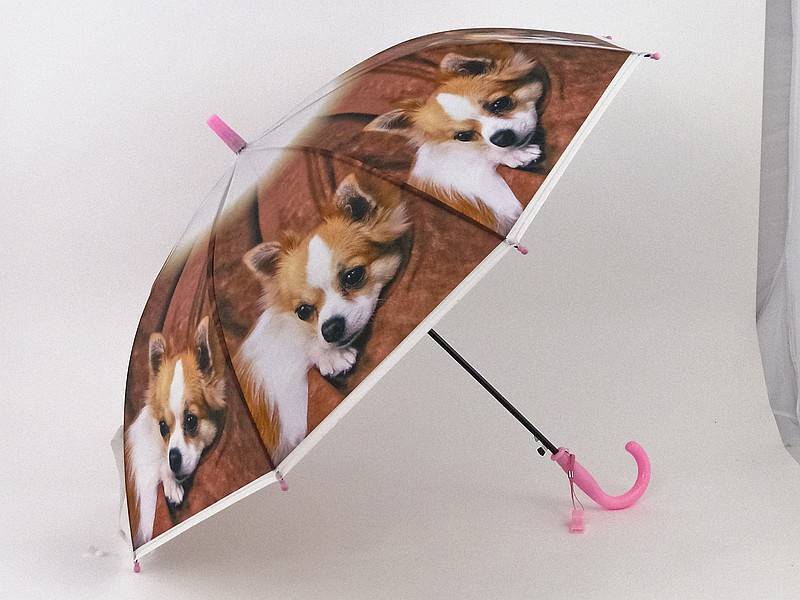 Parasol dziecęcy : pieski/kotki - 476509