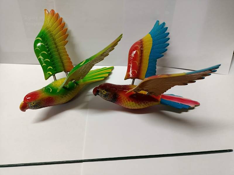 Papuga na patyku - 217966