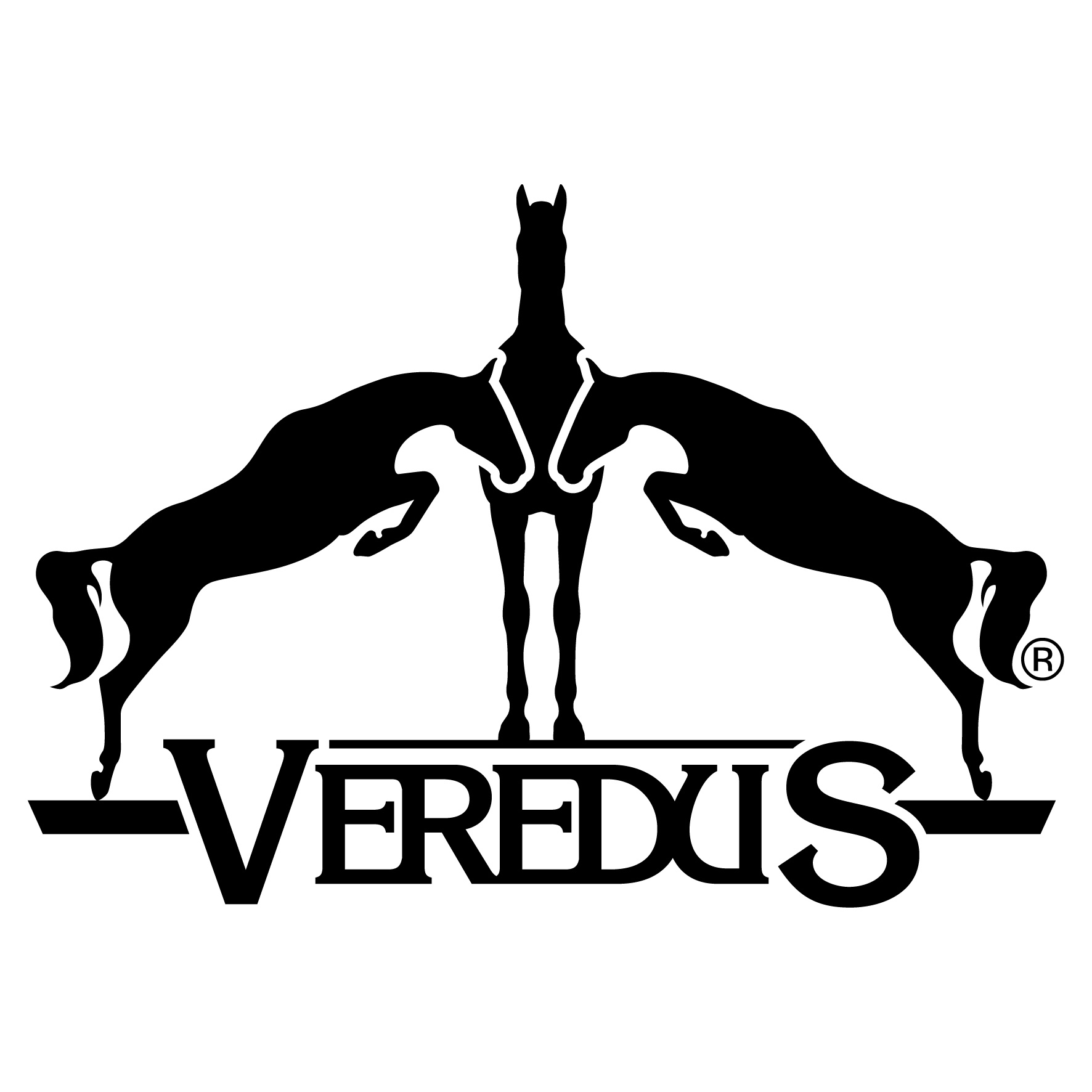 LogoVeredus-WHITE.jpg