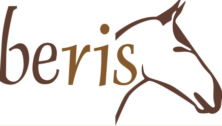 beris_logo_mini.jpg