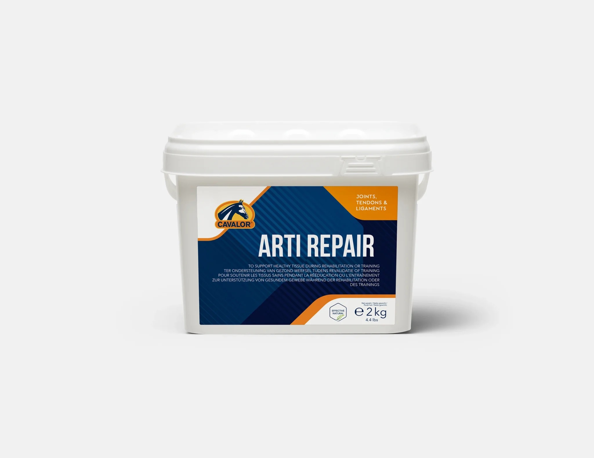 cav2.jpg