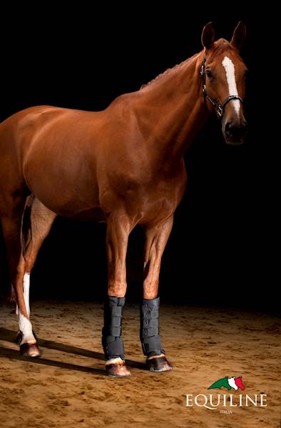 Owijki stajenne full Cairo Equiline 