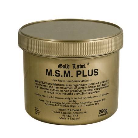 MSM Plus GL na stawy 250g