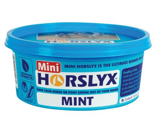 Horslyx mint mini
