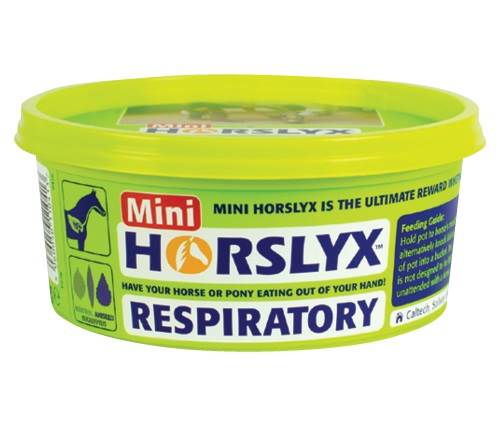 Horslyx respiratory mini